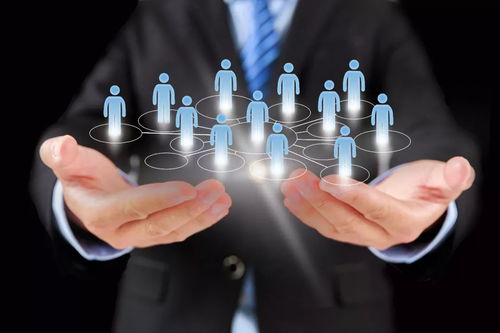 香港医疗体系 从临床卓越到企业化管理的转型之路